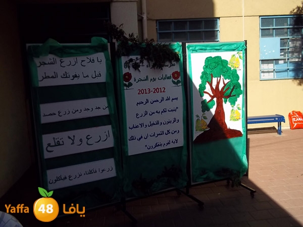 treesnewzahra2 (8).jpg